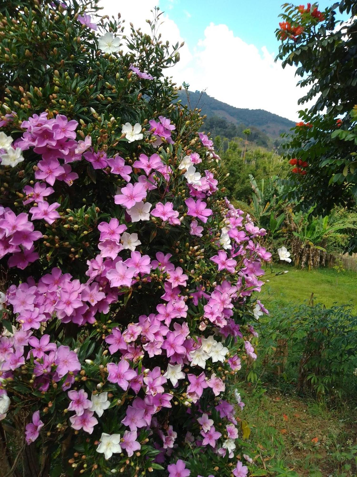 Rancho Pe Da Pedra Villa São Bento do Sapucaí Cameră foto