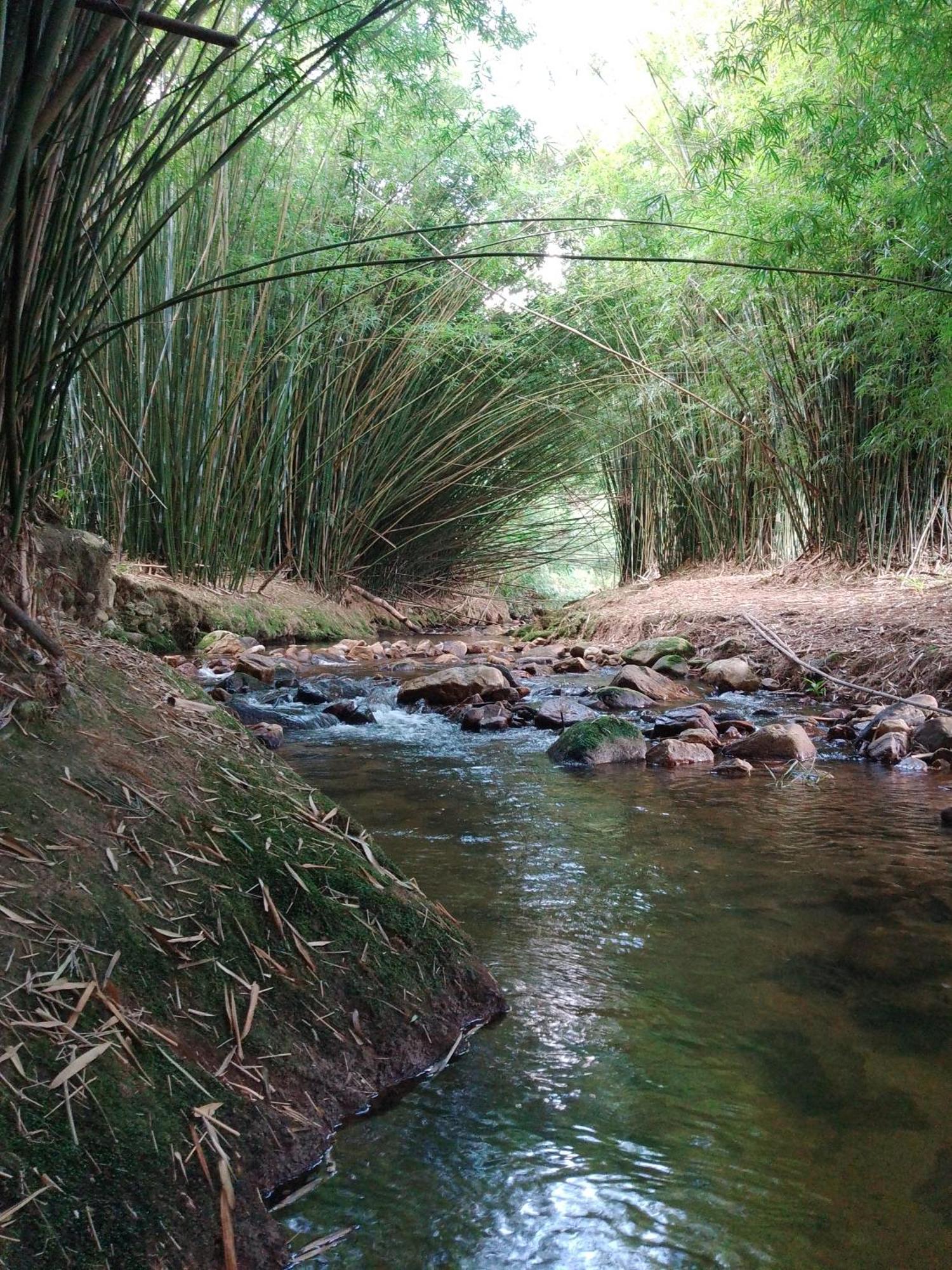 Rancho Pe Da Pedra Villa São Bento do Sapucaí Cameră foto